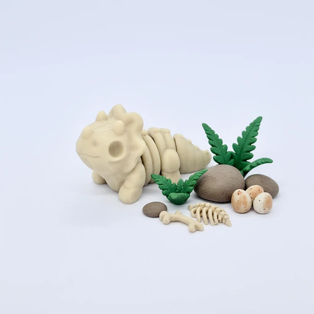 Tribi le Tricératops squelette