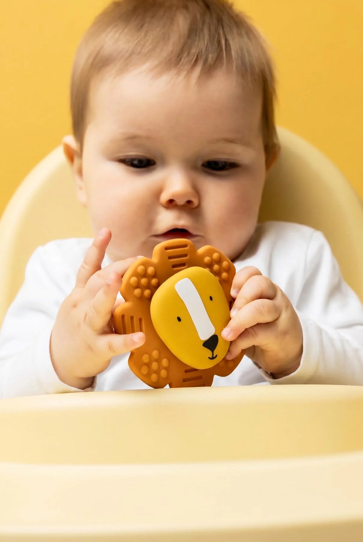 Jouet spinner à ventouse en silicone - Mr.Lion
