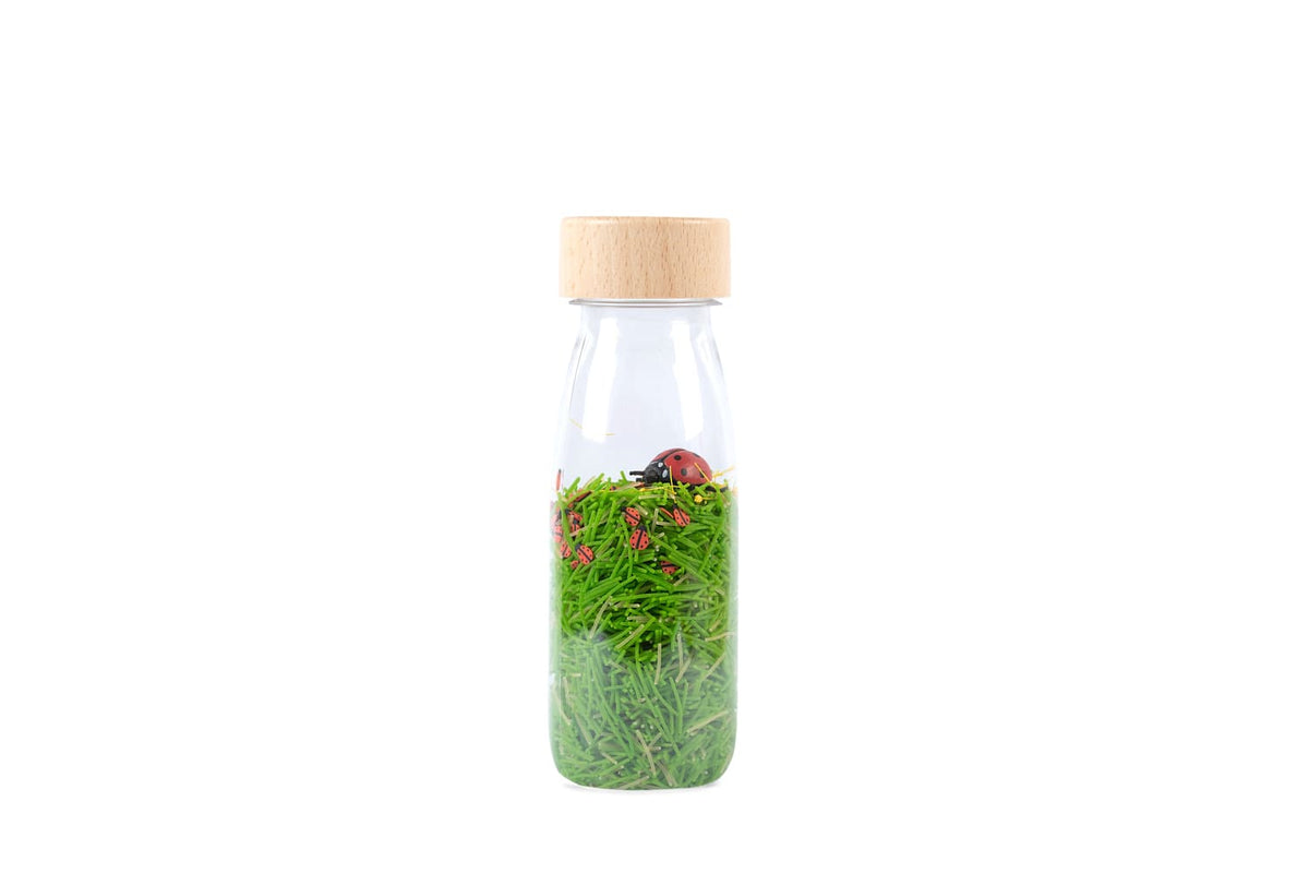 Bouteille sensorielle - Coccinelles