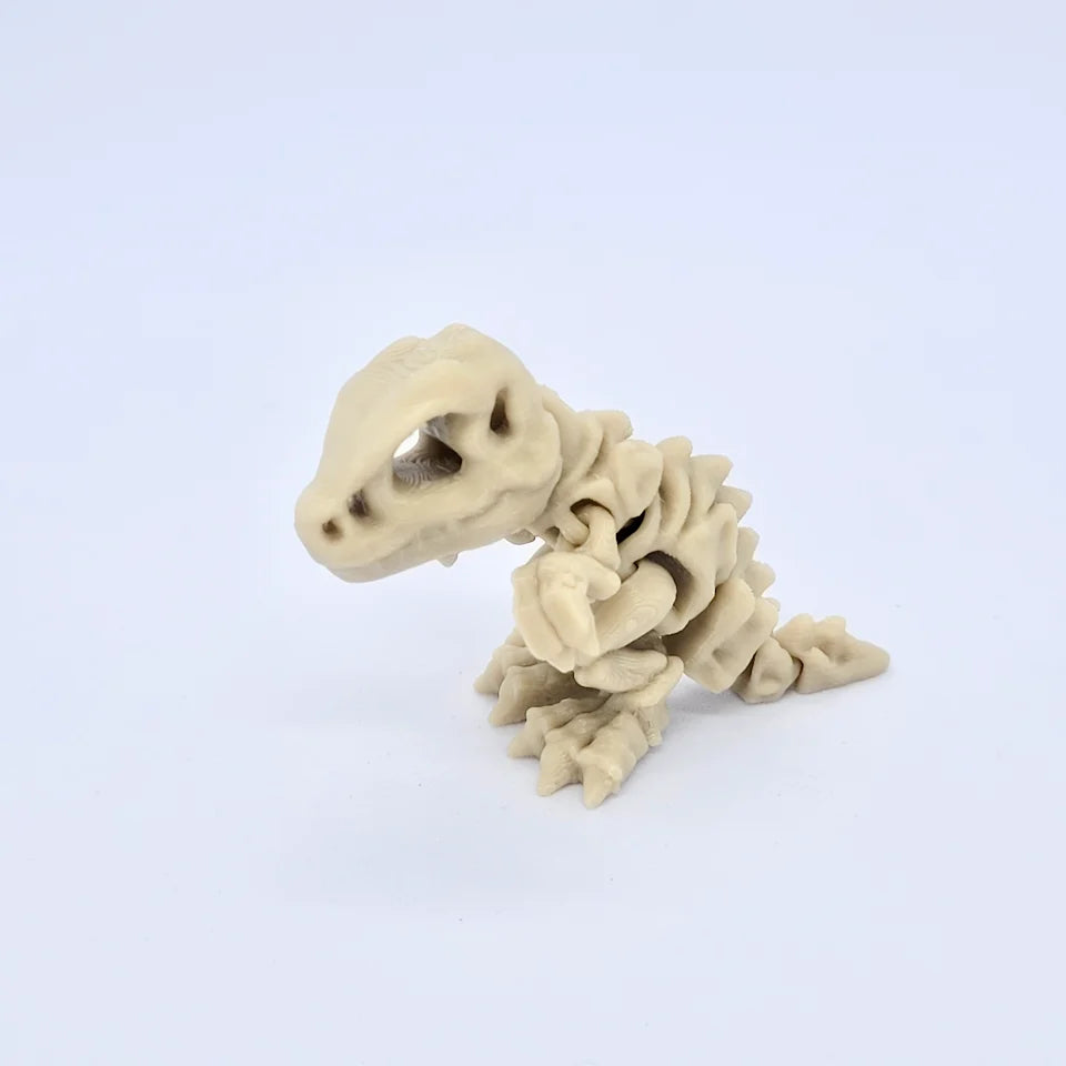 Rexy le T-Rex squelette
