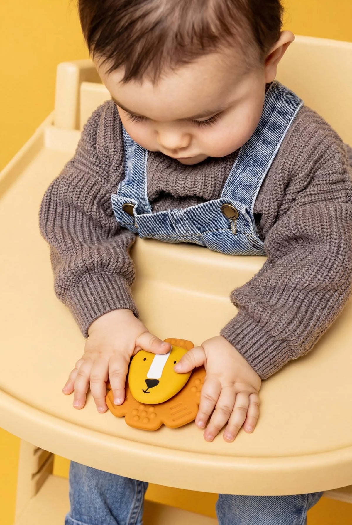 Jouet spinner à ventouse en silicone - Mr.Lion