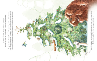 Poil et Plume de Noel