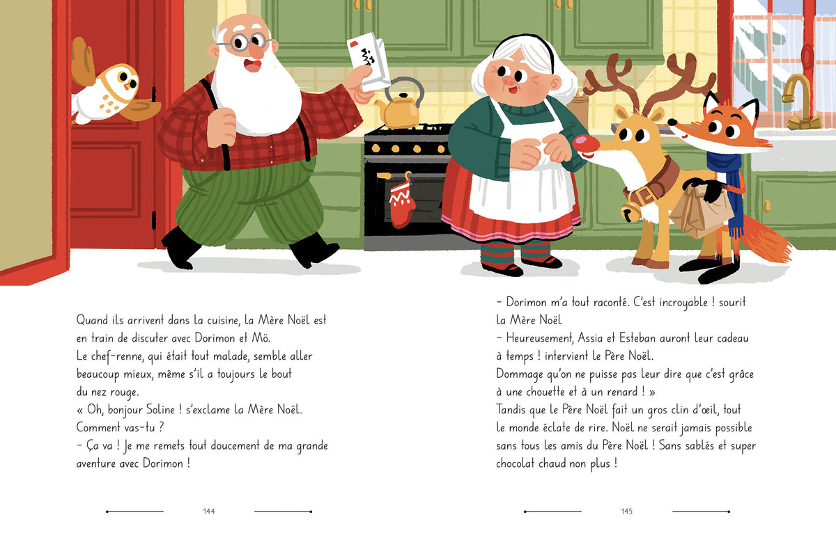 Roman de l'avent : Les aventures secrètes de Noel