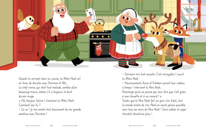 Roman de l'avent : Les aventures secrètes de Noel