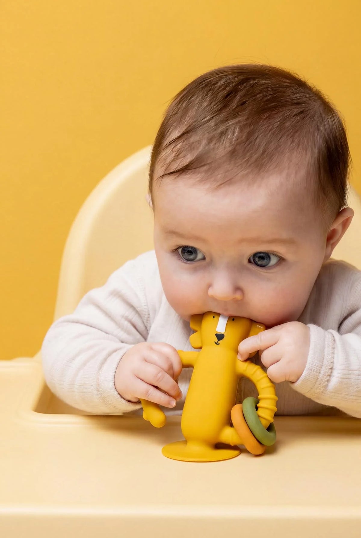 Jouet sensoriel en silicone avec ventouse - Mr. Lion