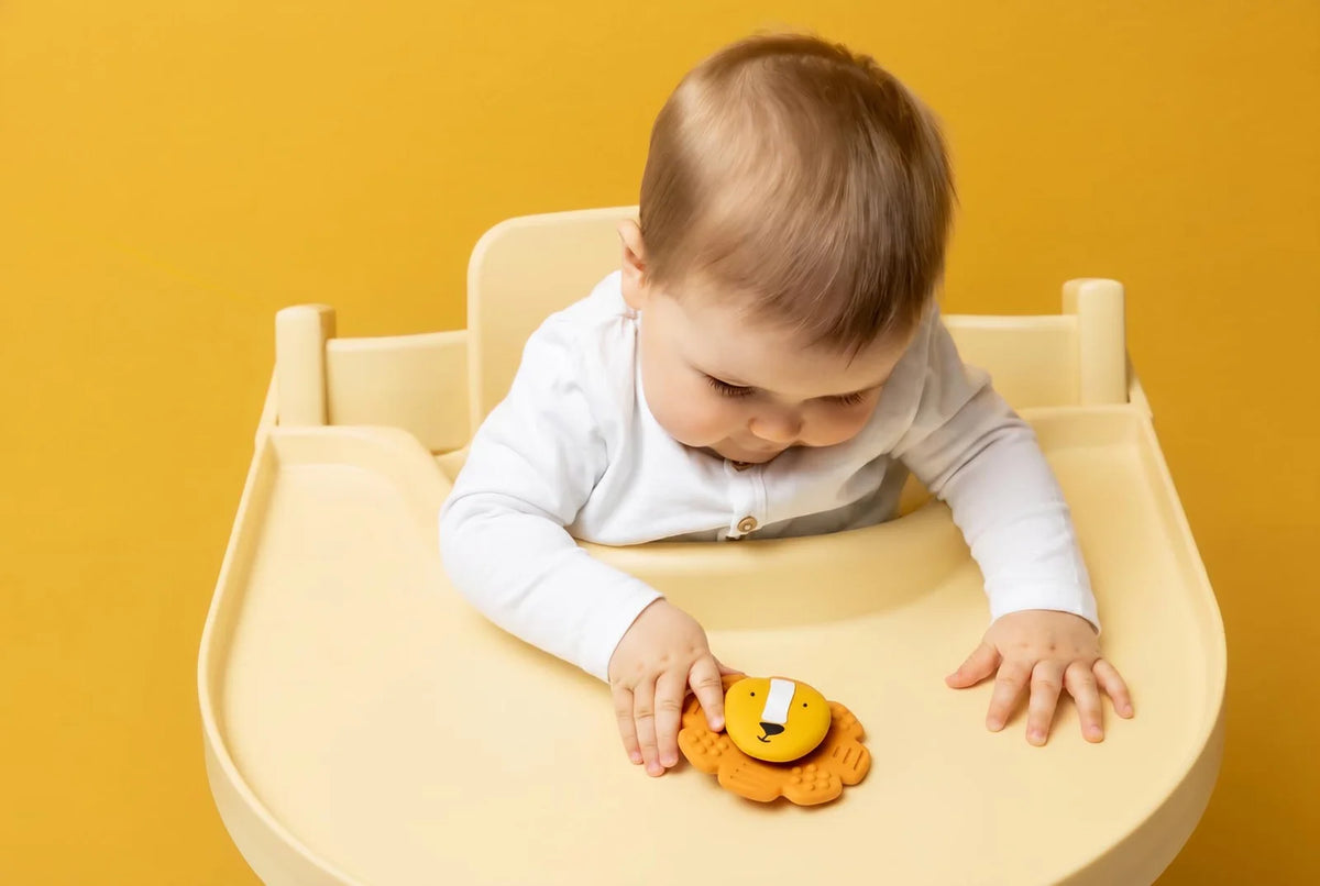 Jouet spinner à ventouse en silicone - Mr.Lion