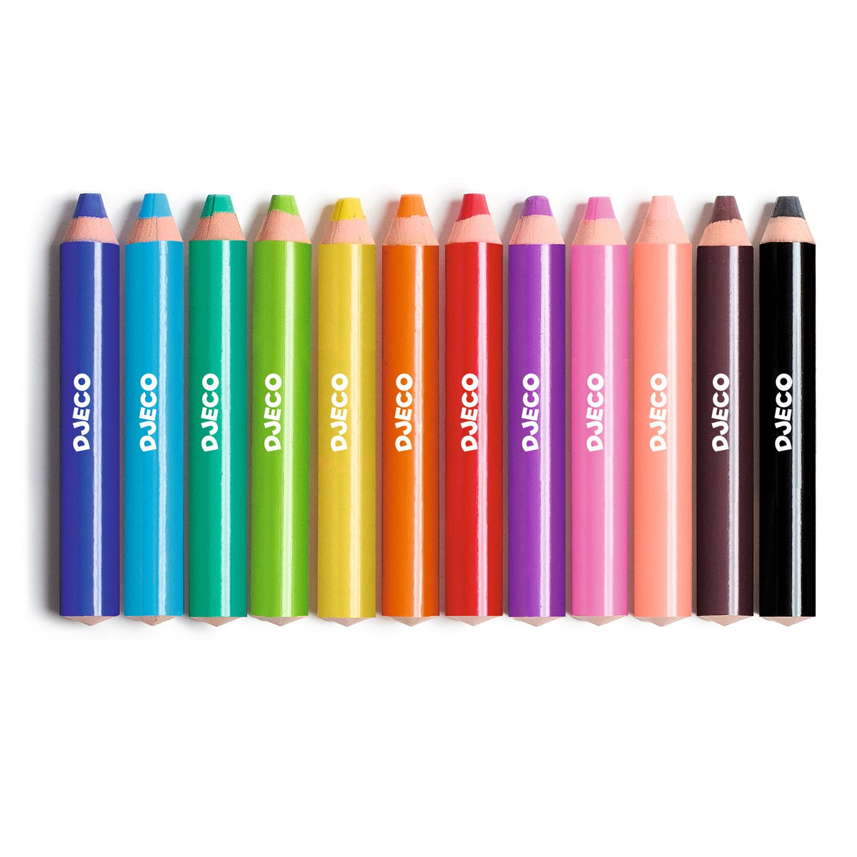12 gros crayons gras