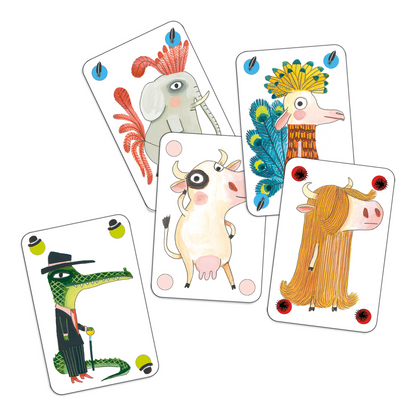 Pipolo