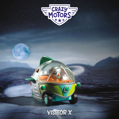 Visitor X