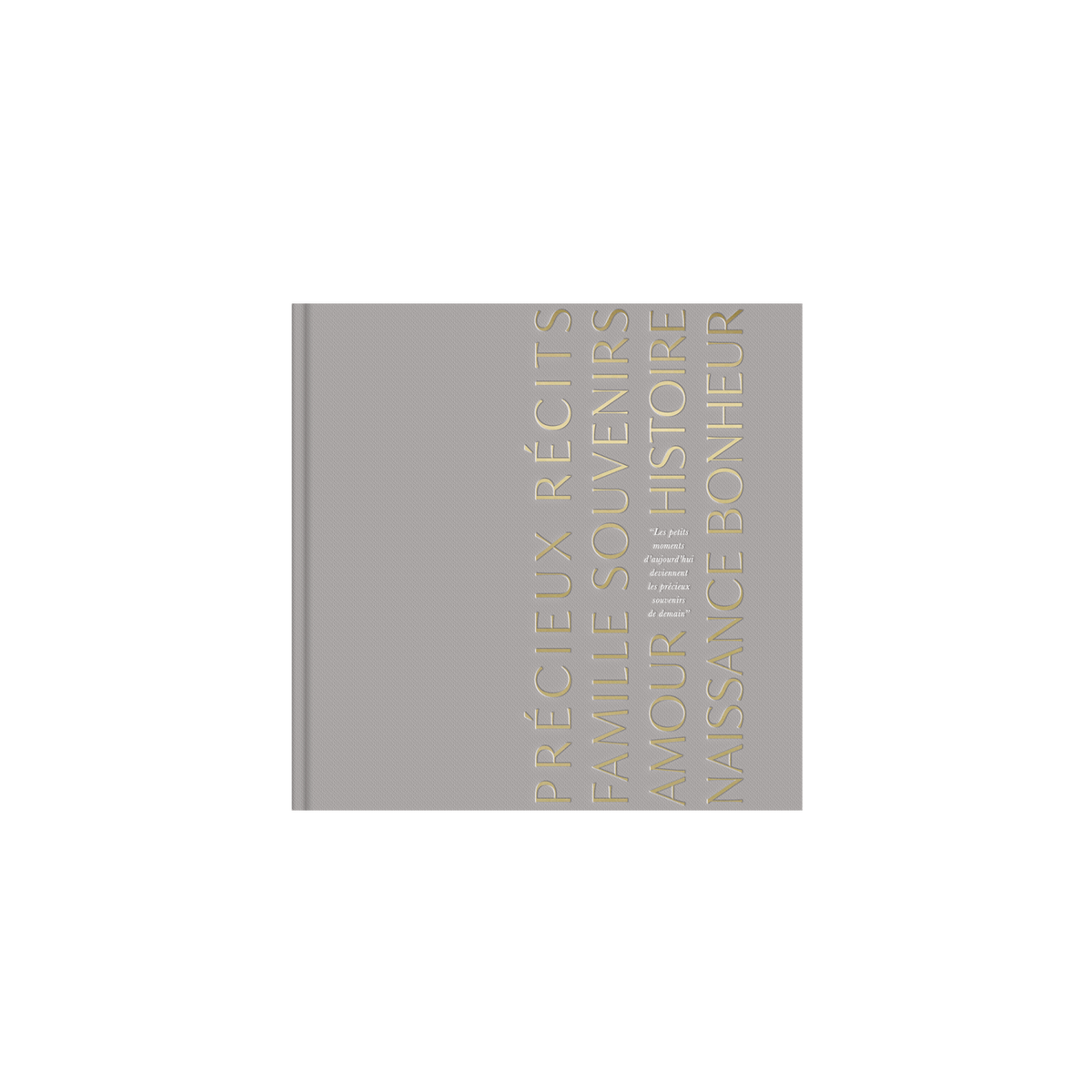 Livre de naissance gris Précieux Souvenirs