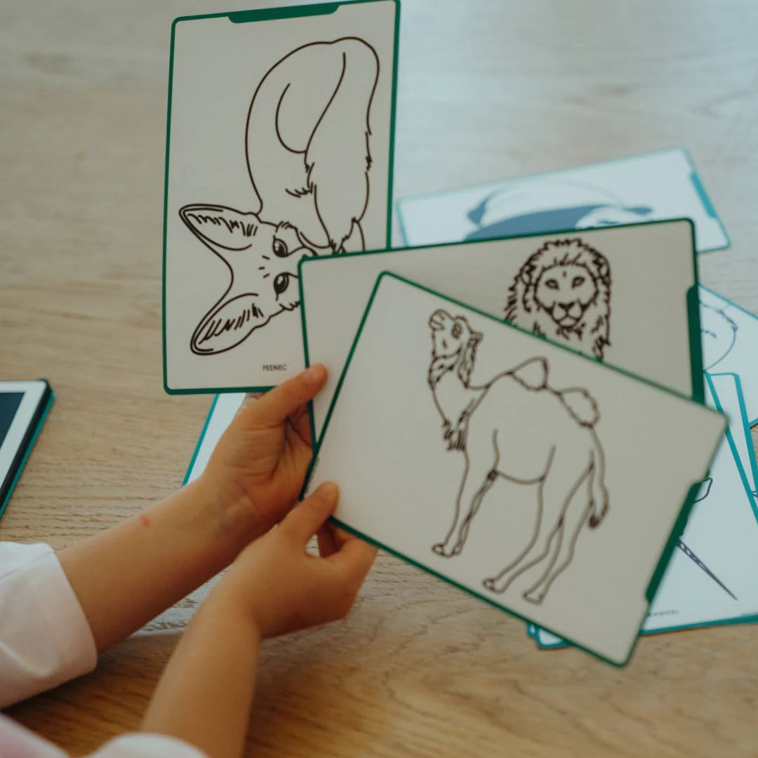 Cartes supplémentaires Kidydraw Mini - Animaux du monde et Océans et pirates