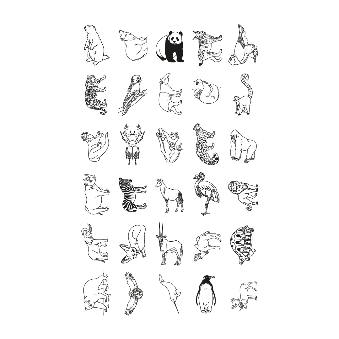 Cartes supplémentaires Kidydraw Mini - Animaux du monde et Océans et pirates