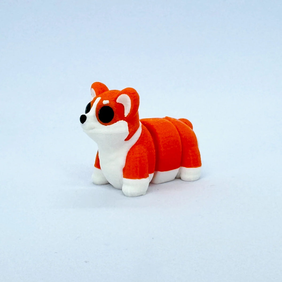 Corgo le corgi