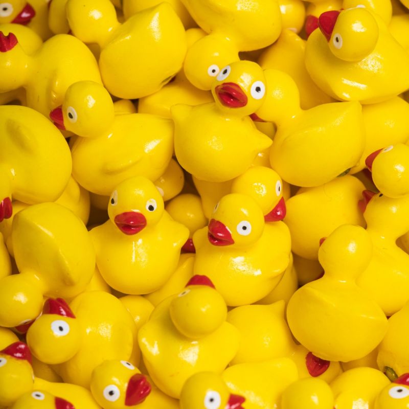 Bouteille sensorielle Move Ducky